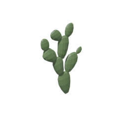 Cactus 4